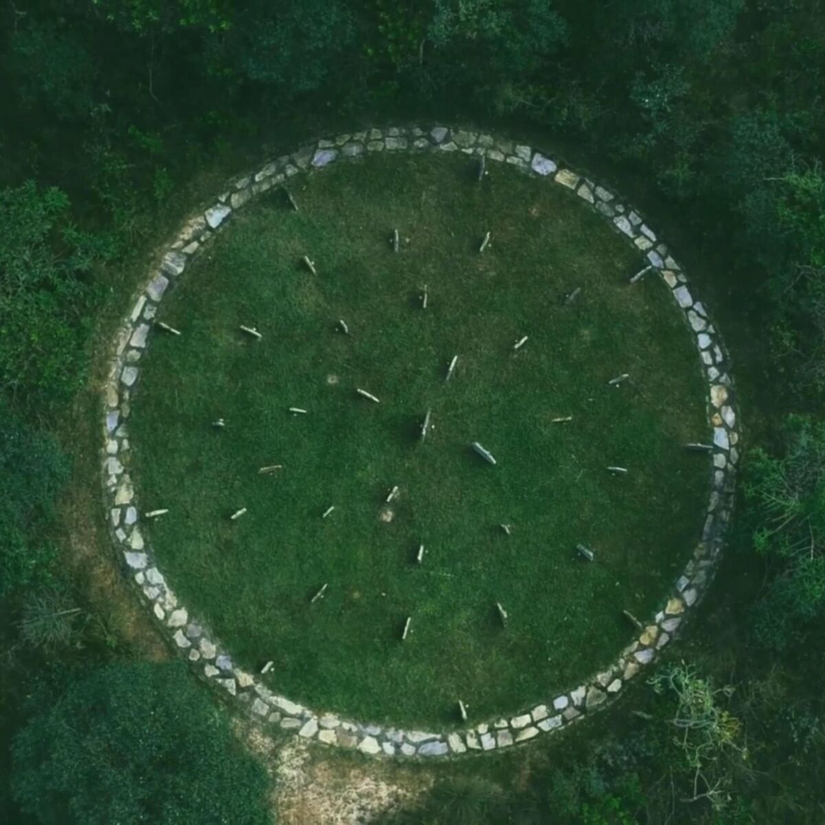 Album cover of If I Had a Heart