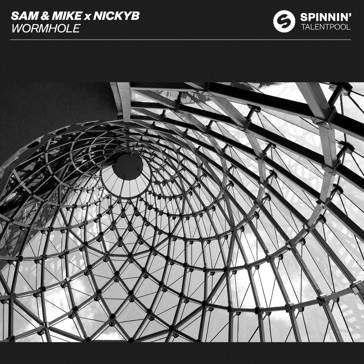 Album cover of Wormhole