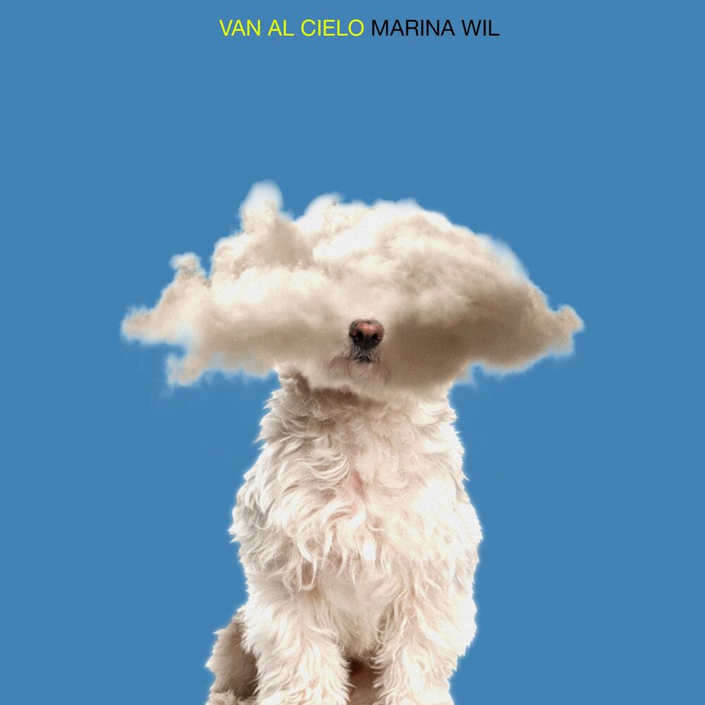Picture of Van al Cielo