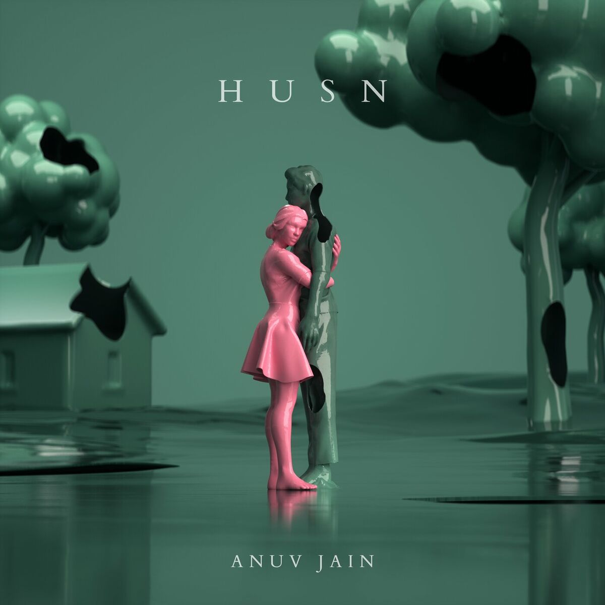Album cover of Husn