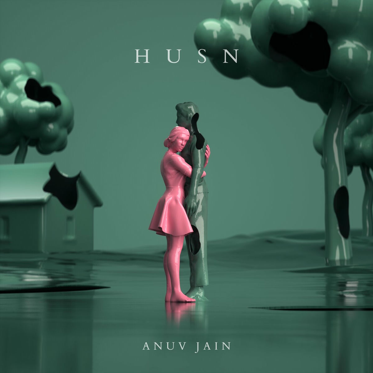 Album cover of Husn