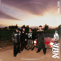 Cover of NAE (feat. Swift 047)
