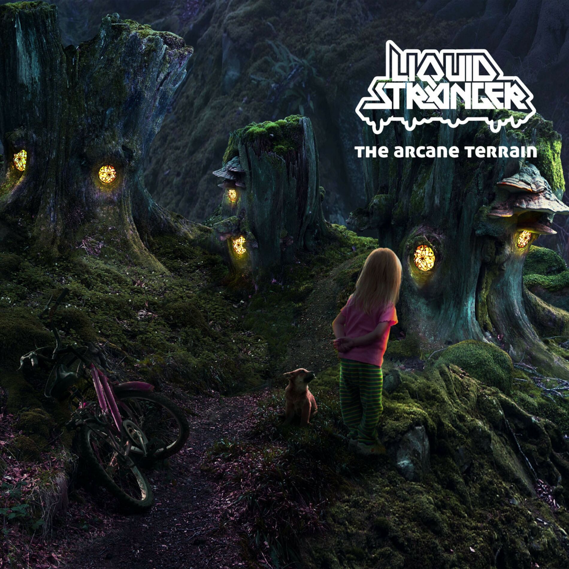 Album cover of The Arcane Terrain