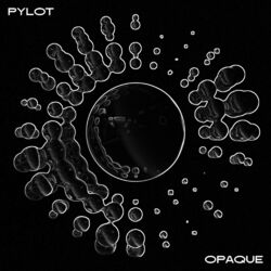 Cover of Opaque