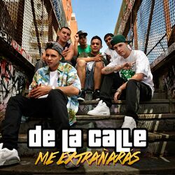 Cover of Me Extrañarás