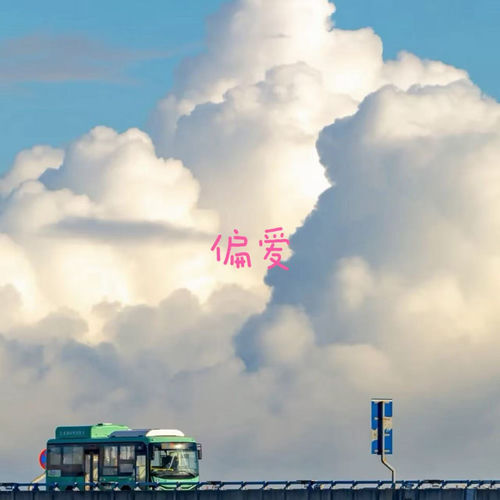 偏爱
