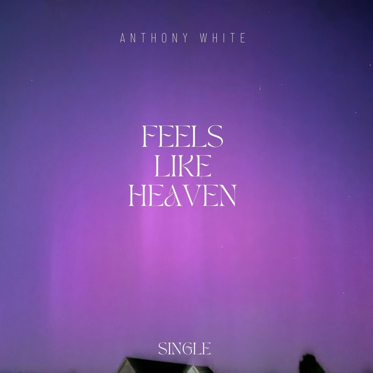Album cover of Feels Like Heaven