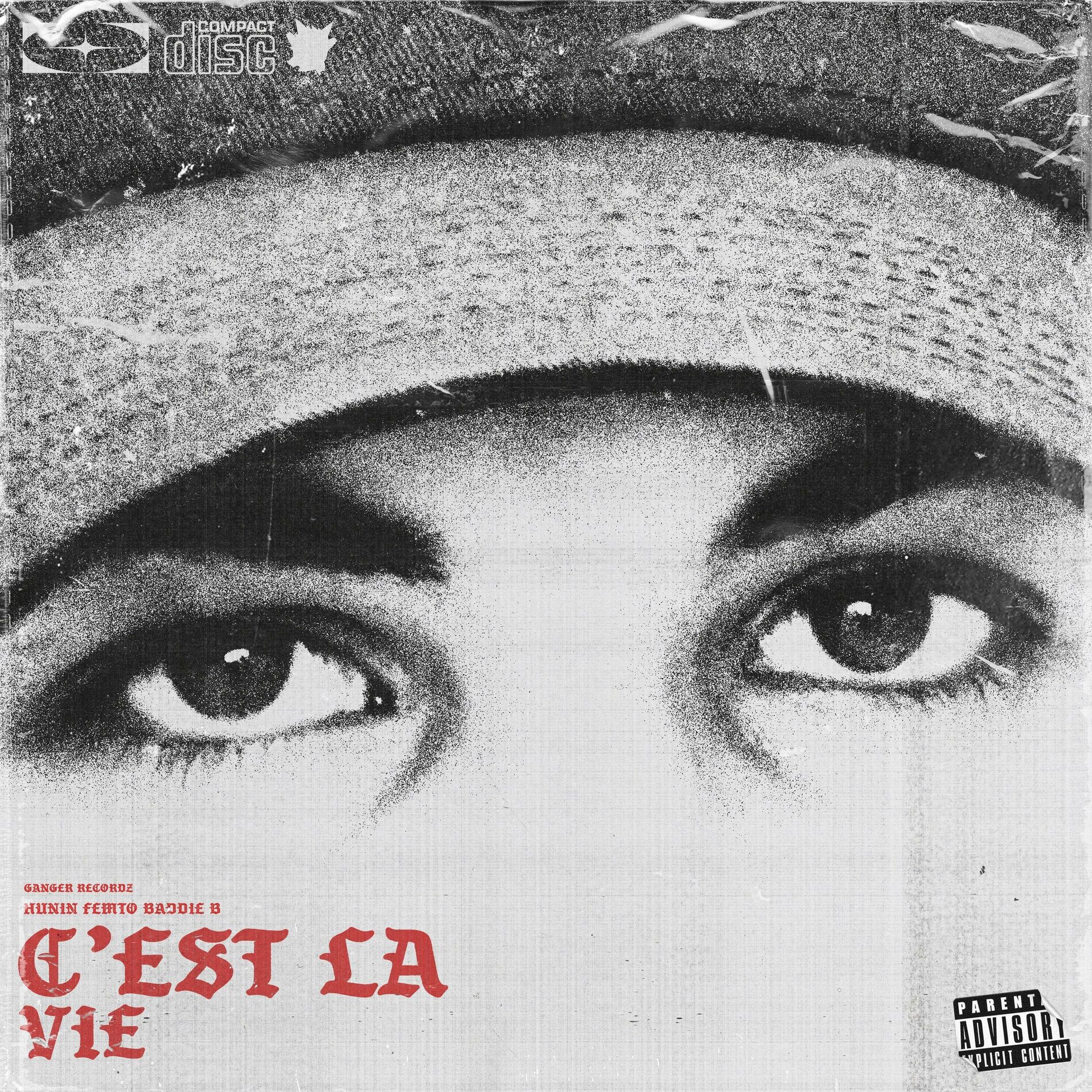 Album cover of C'est la vie (feat. Femto)
