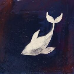 music cover