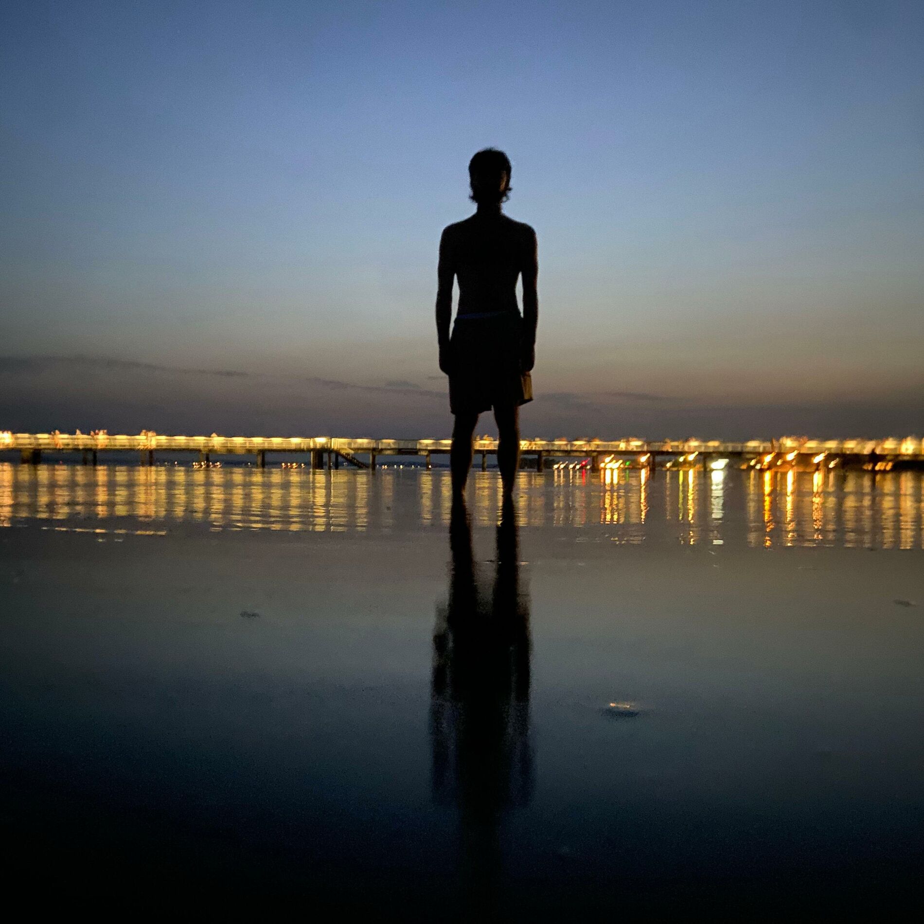 Album cover of Pluriel