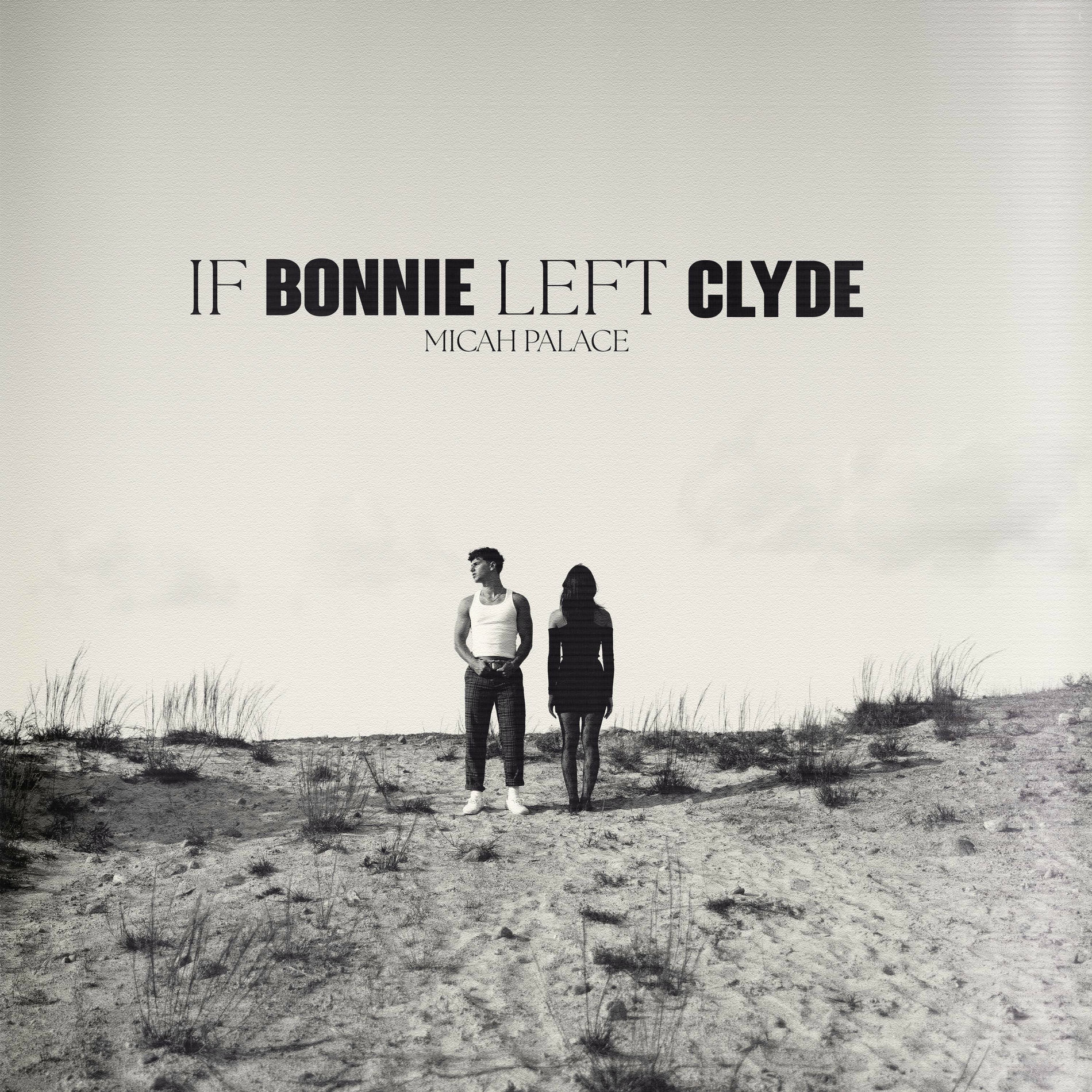 Album cover of if Bonnie left Clyde