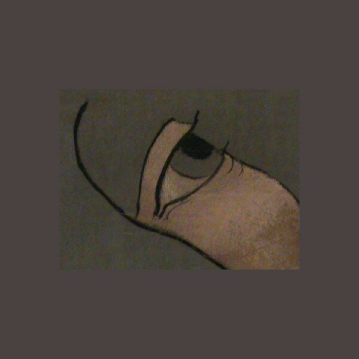 Album cover of Eyeholes in a Paper Bag