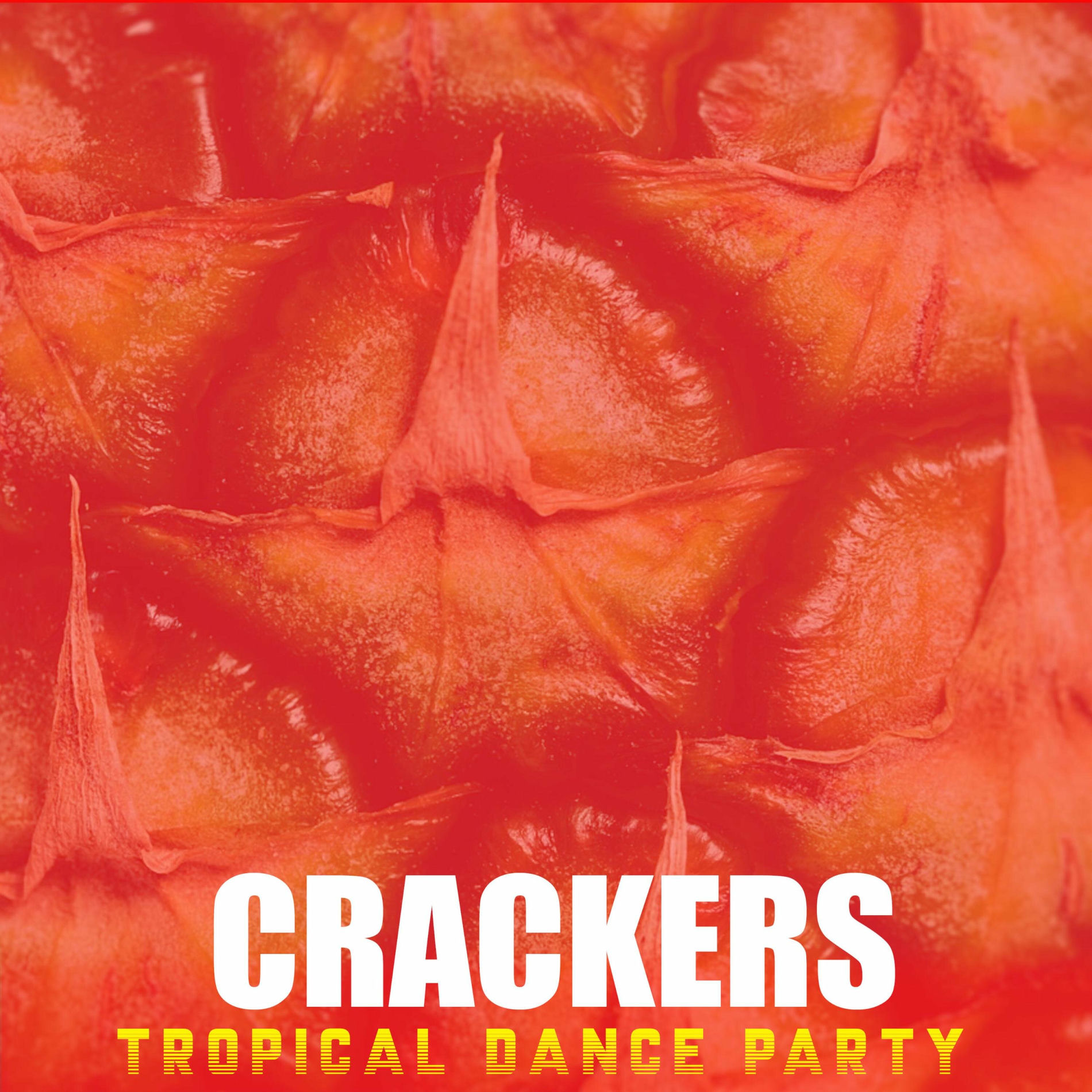 Album cover of Tropical Dance Party
