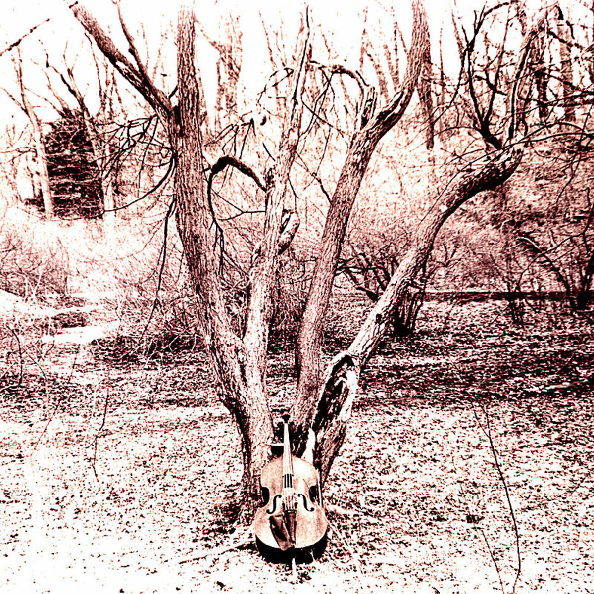 Album cover of Alpine