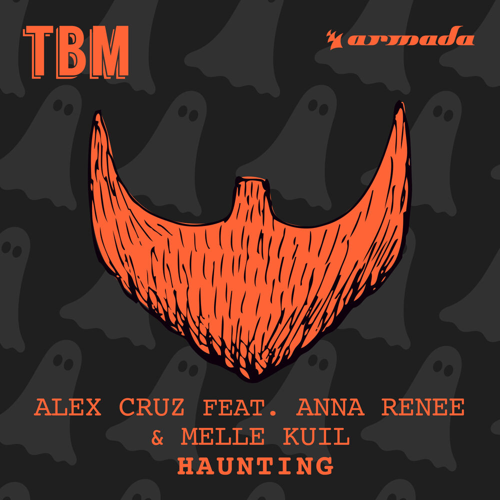 Picture of Haunting