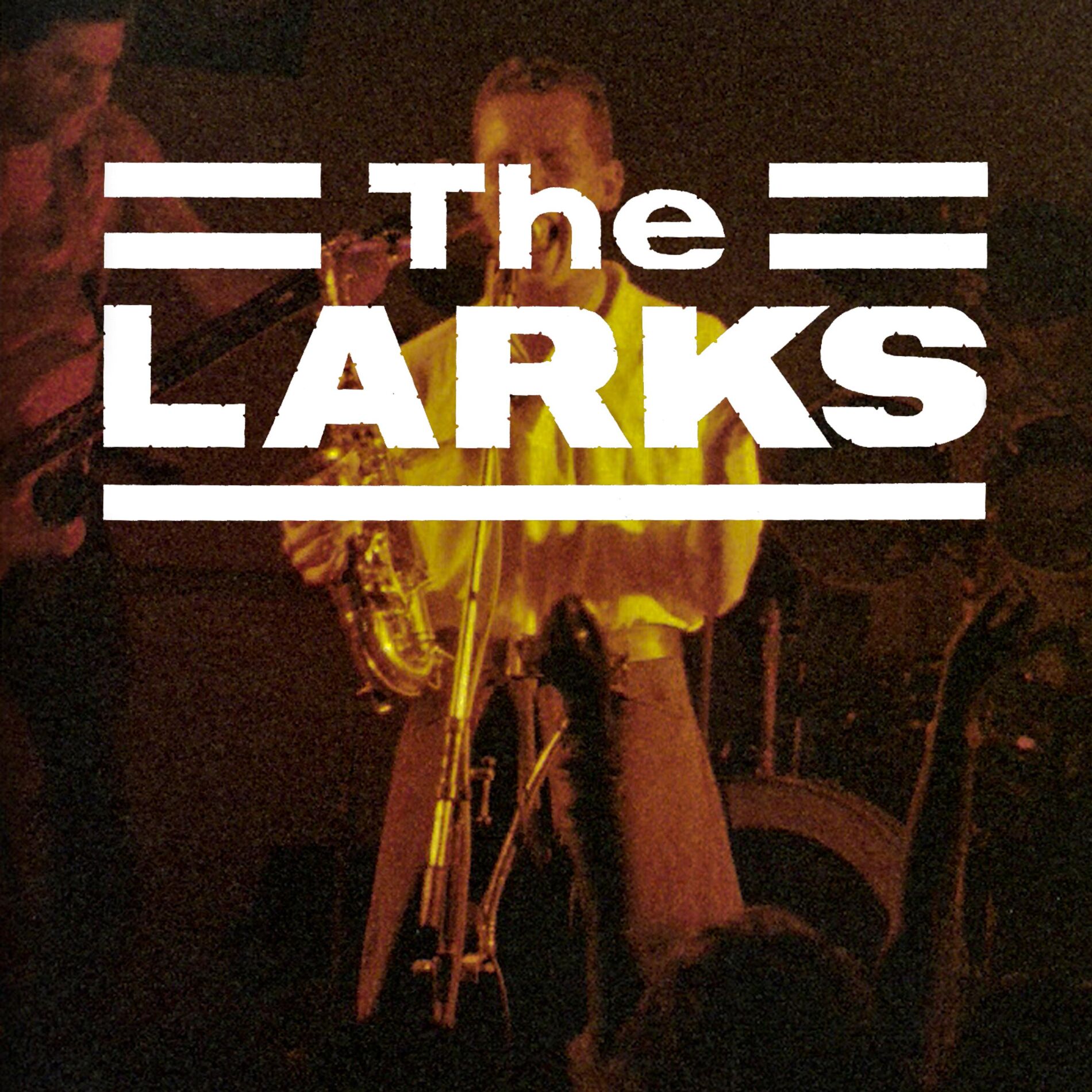 Album cover of The Larks Live in Kingston