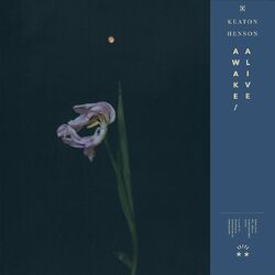Cover of Awake/Alive