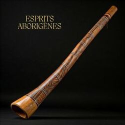Cover of Esprits aborigènes: Les sons curatifs du didgeridoo