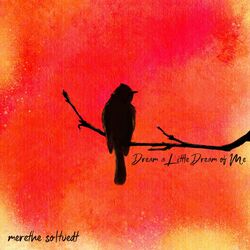 Cover of Dream a Little Dream of Me
