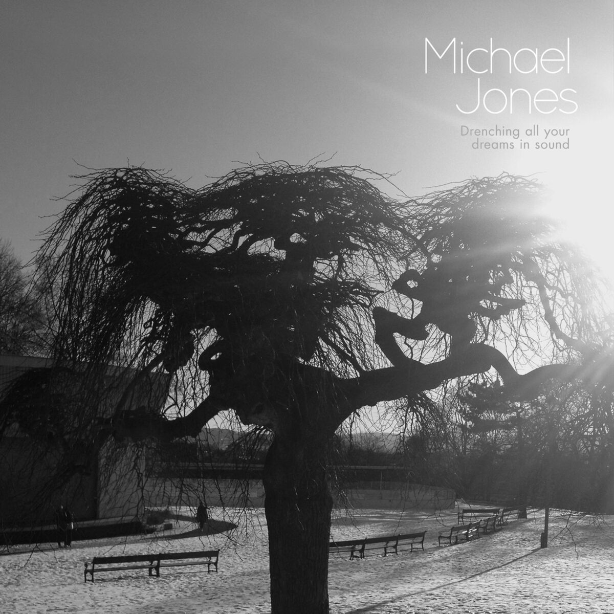 Album cover of Drenching All Your Dreams in Sound