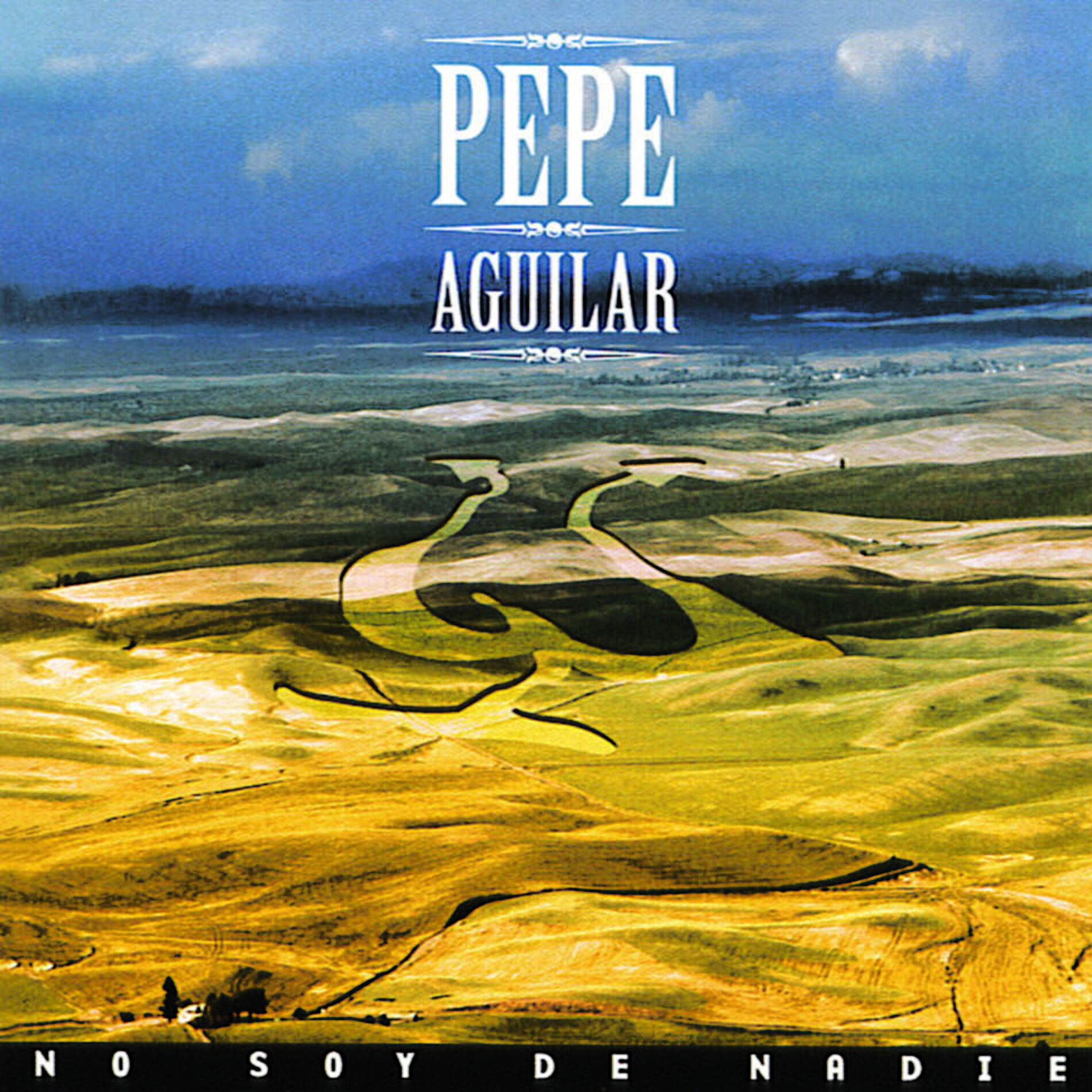 Album cover of Prometí Olvidarte