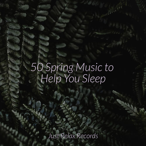 50 Spring Music to Help You Sleep
