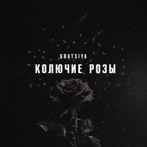 Колючие розы