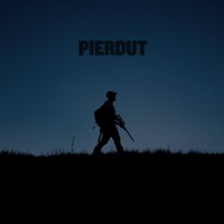 Cover of Pierdut