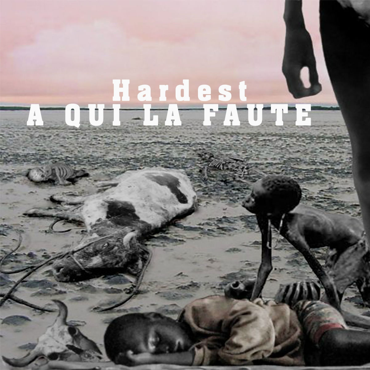 Album cover of A qui la faute