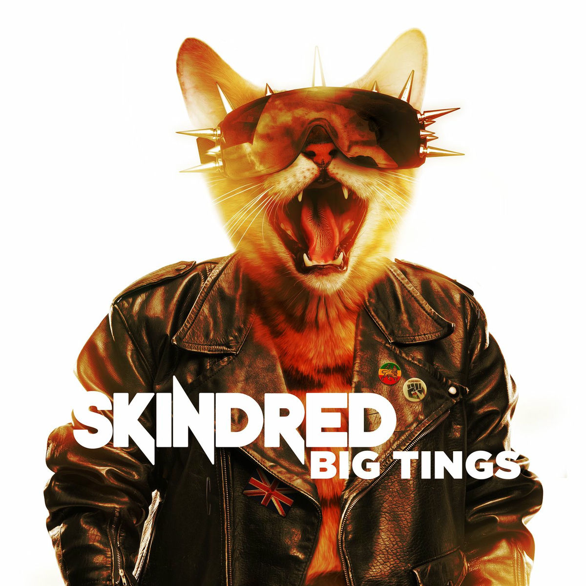 Album cover of Big Tings