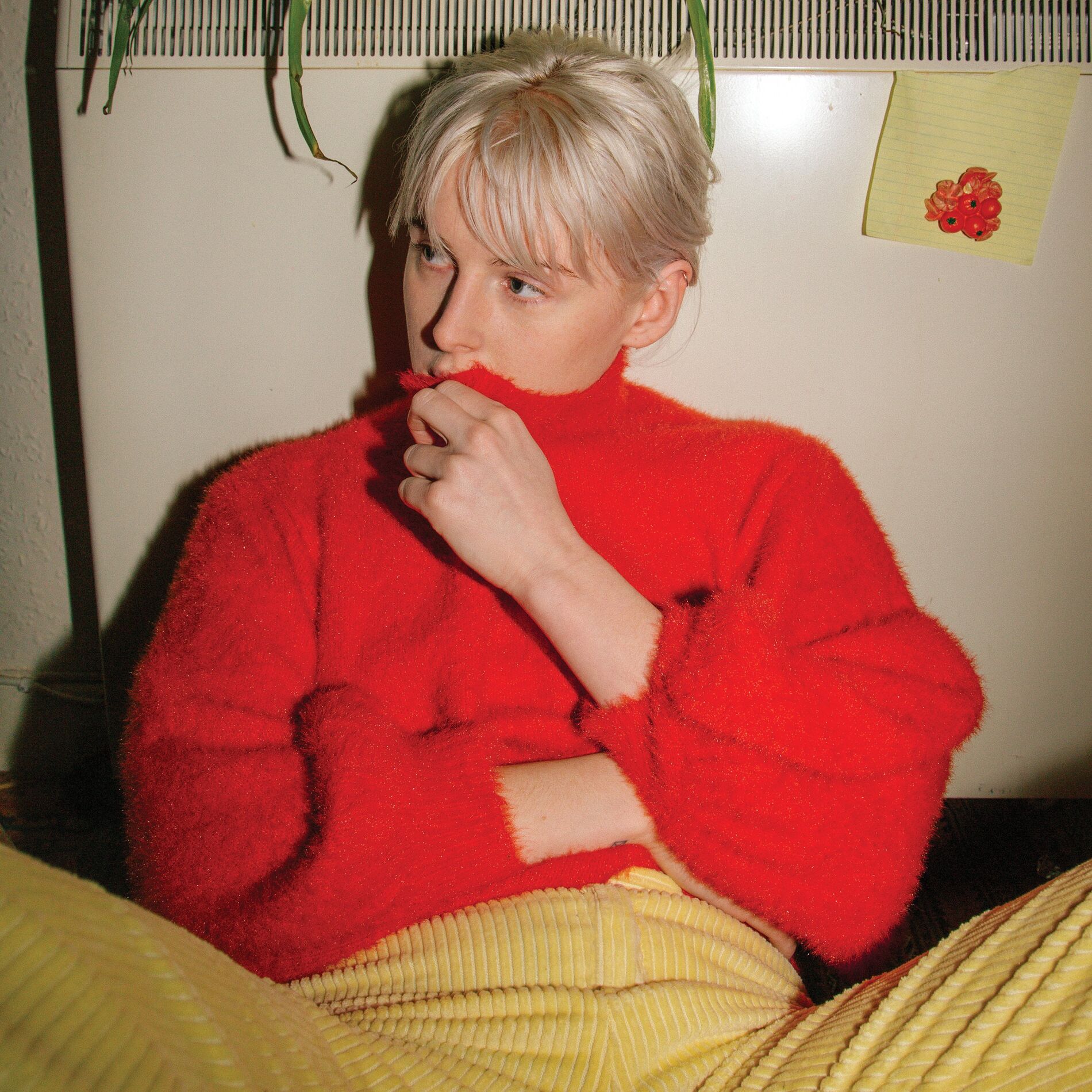 Album cover of Berlin