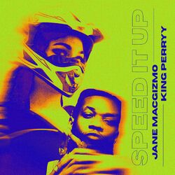 Cover of Speed It Up