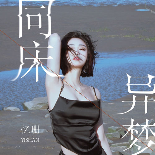 同床异梦