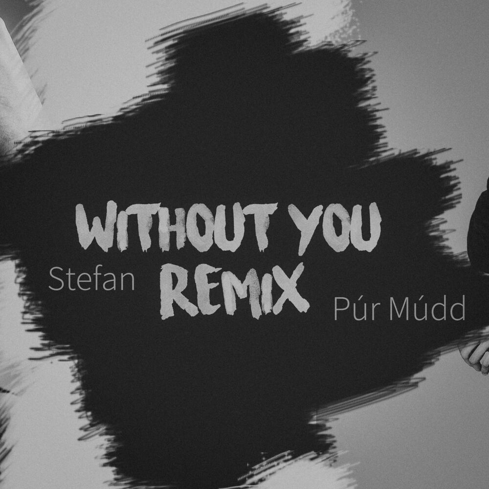 Picture of Without You (Púr Múdd Remix)