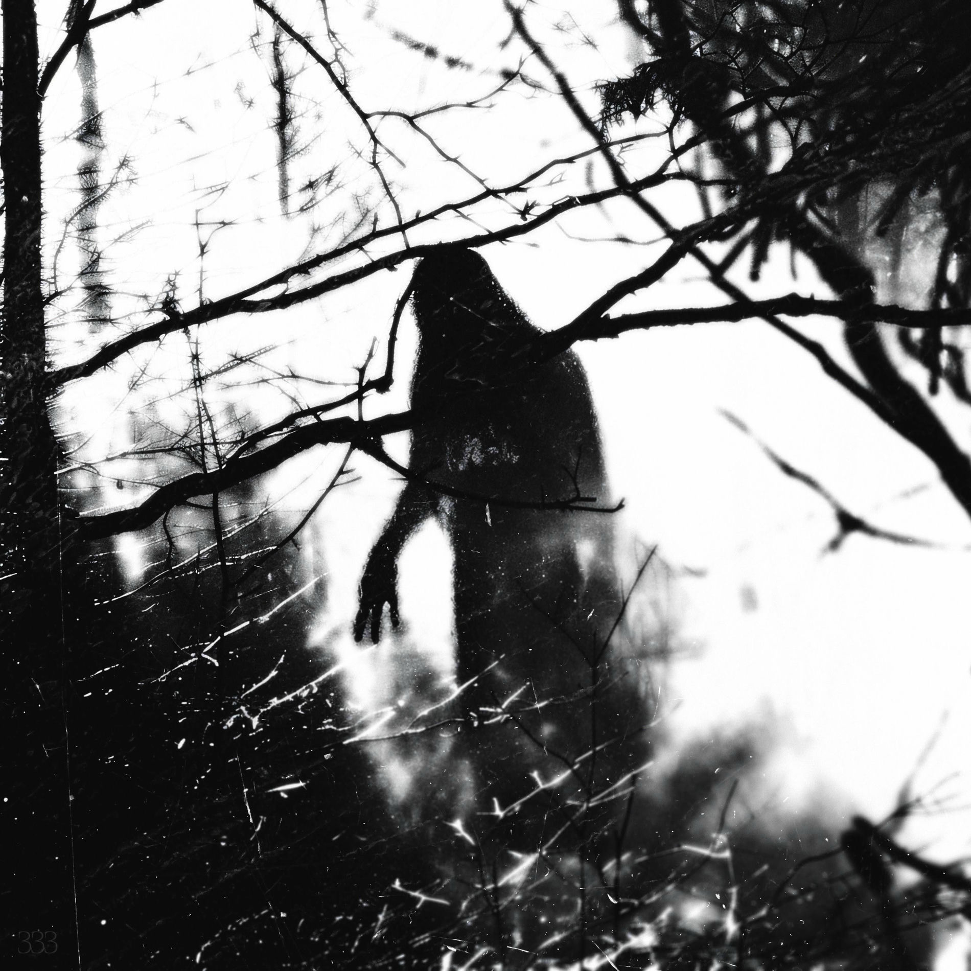 Album cover of MY_DARLING