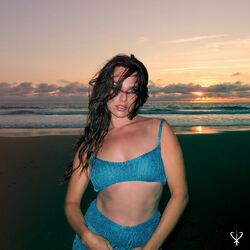 Cover of Bleu