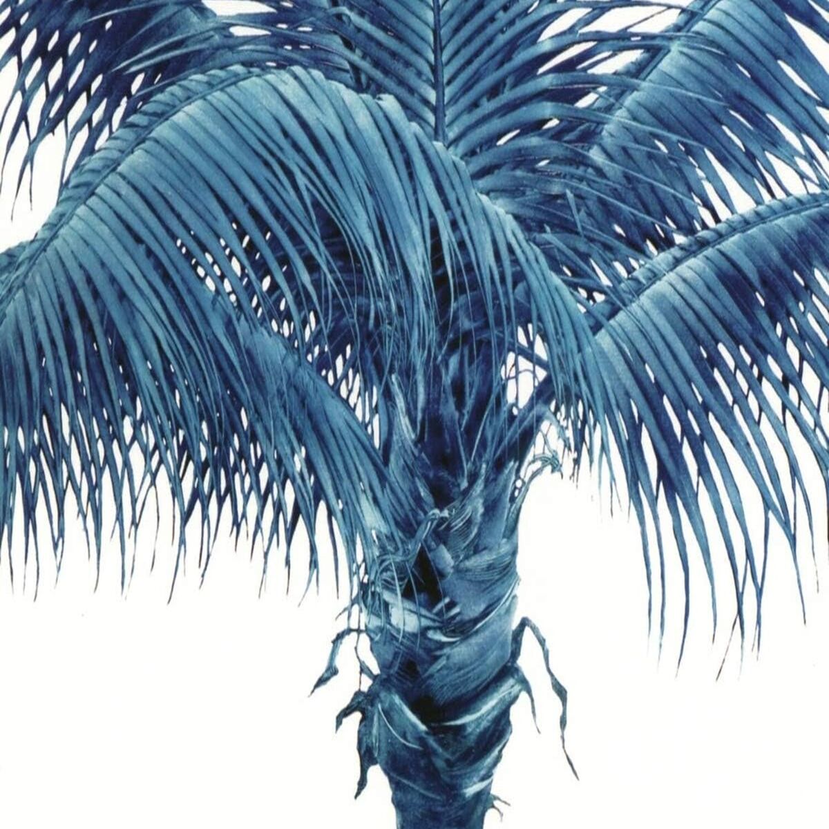 Album cover of Fast Ava