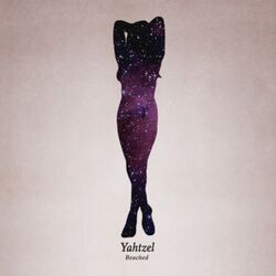 Cover of Beached