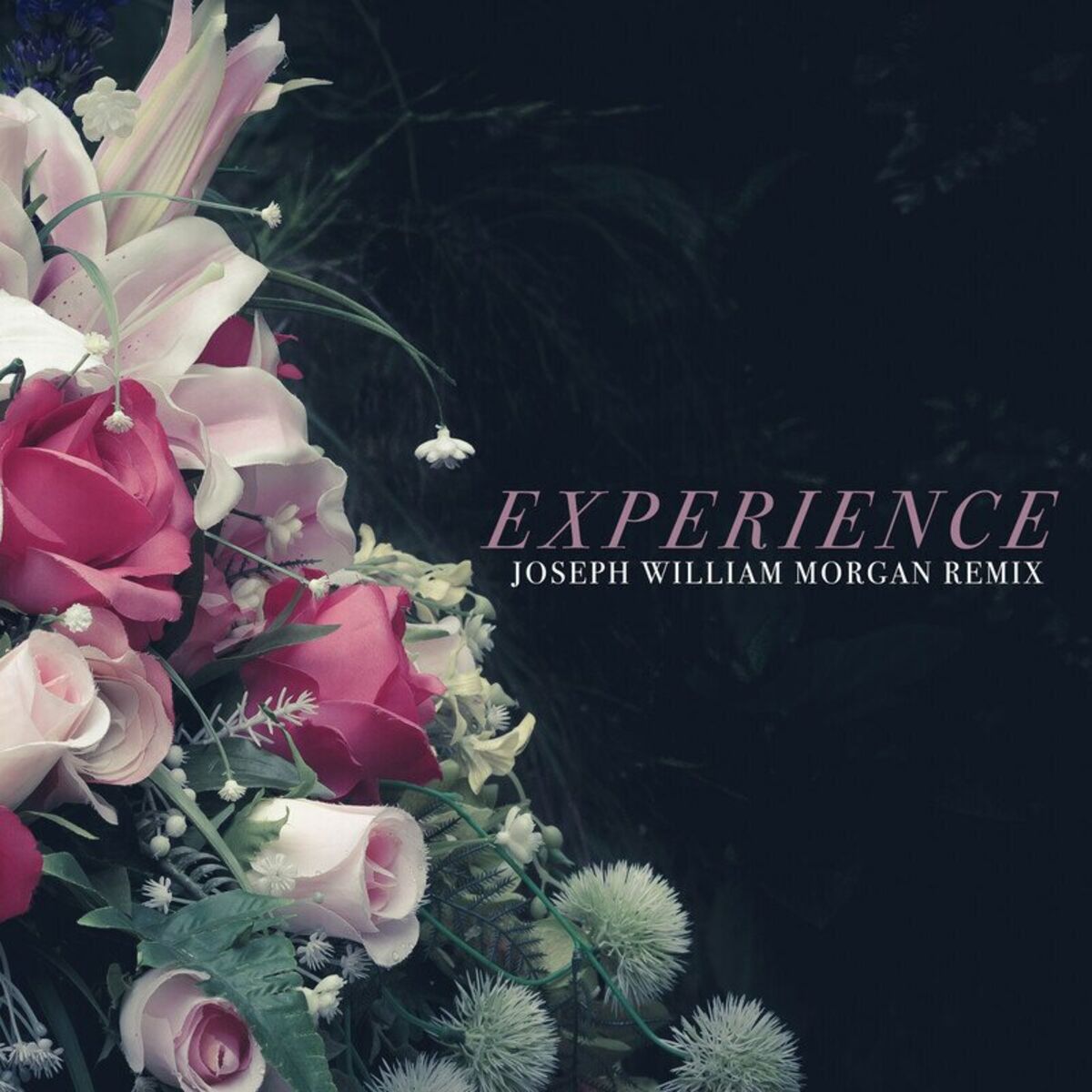Album cover of Experience (Joseph William Morgan Remix)