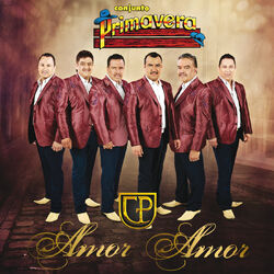 Cover of Amor Amor