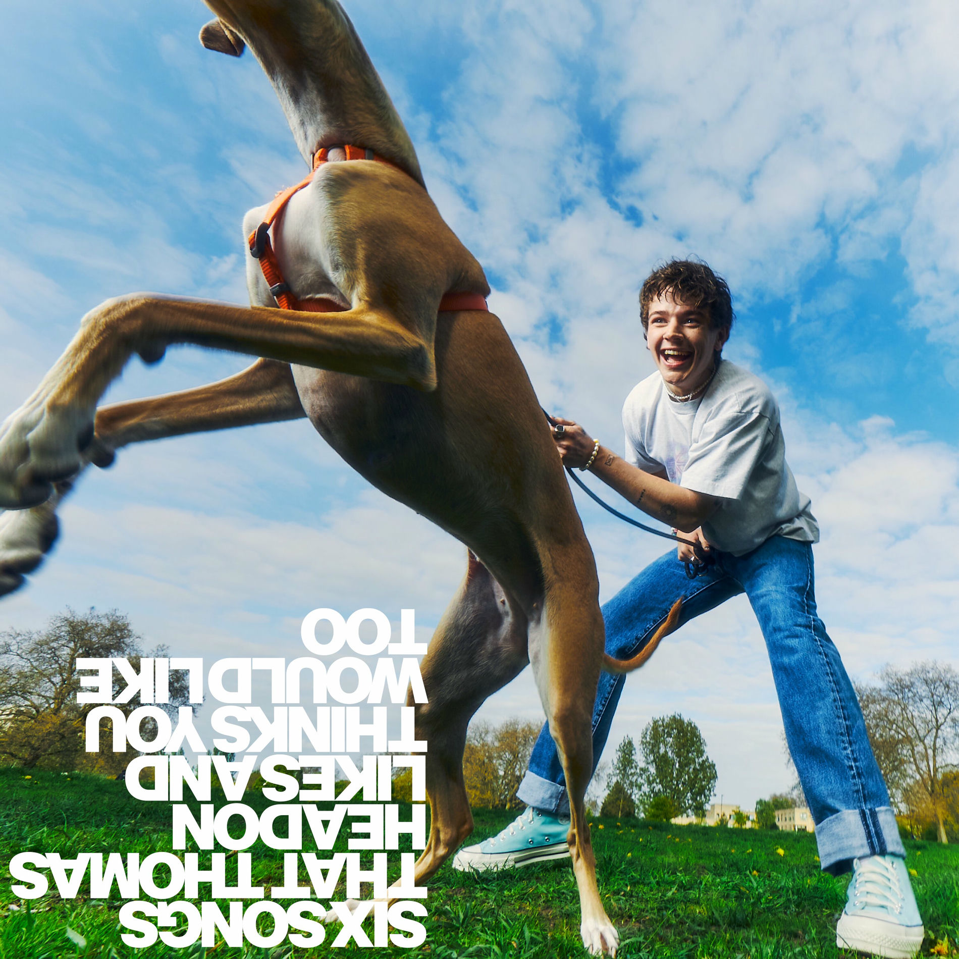Album cover of wet tongue