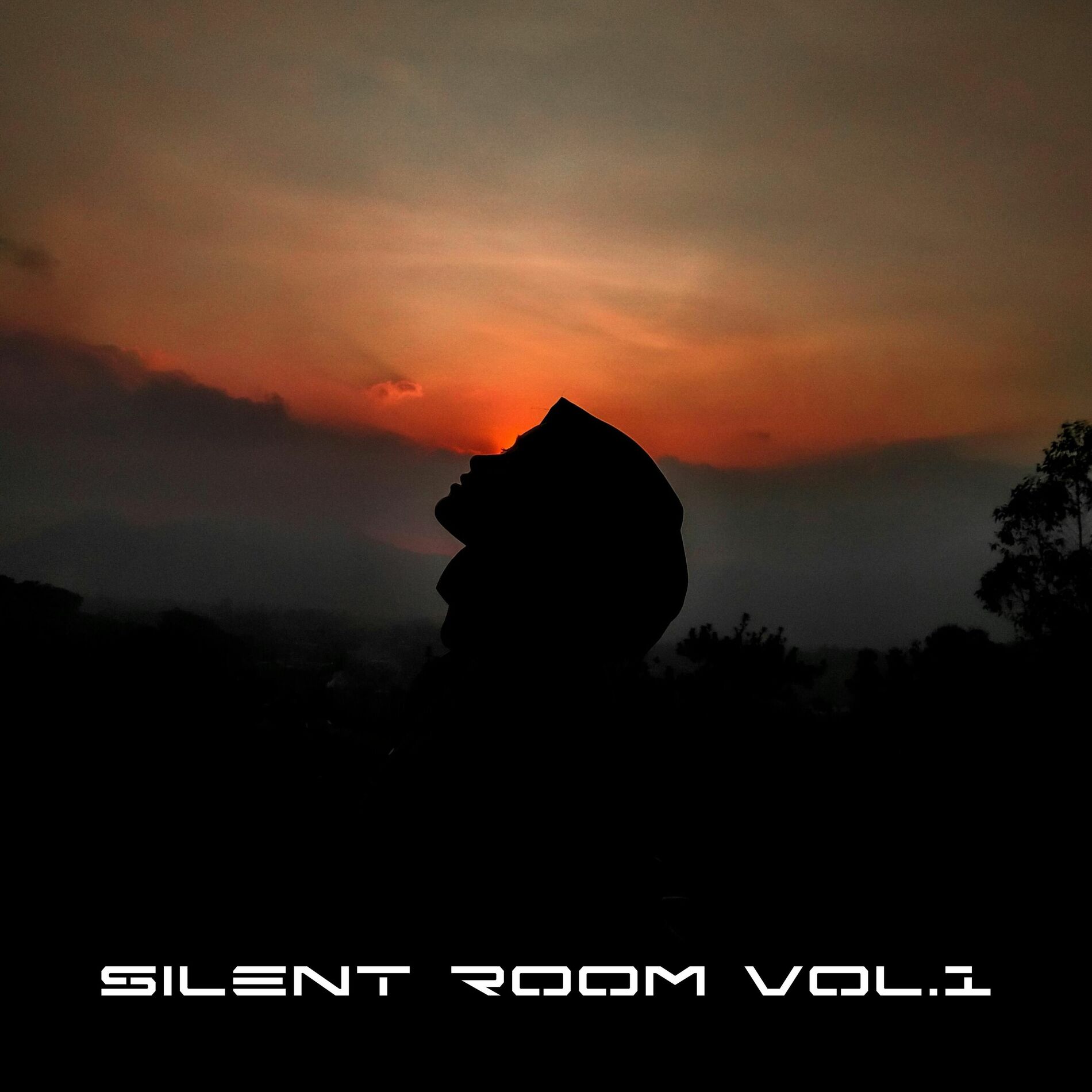 Album cover of Silent Room, Vol. 1