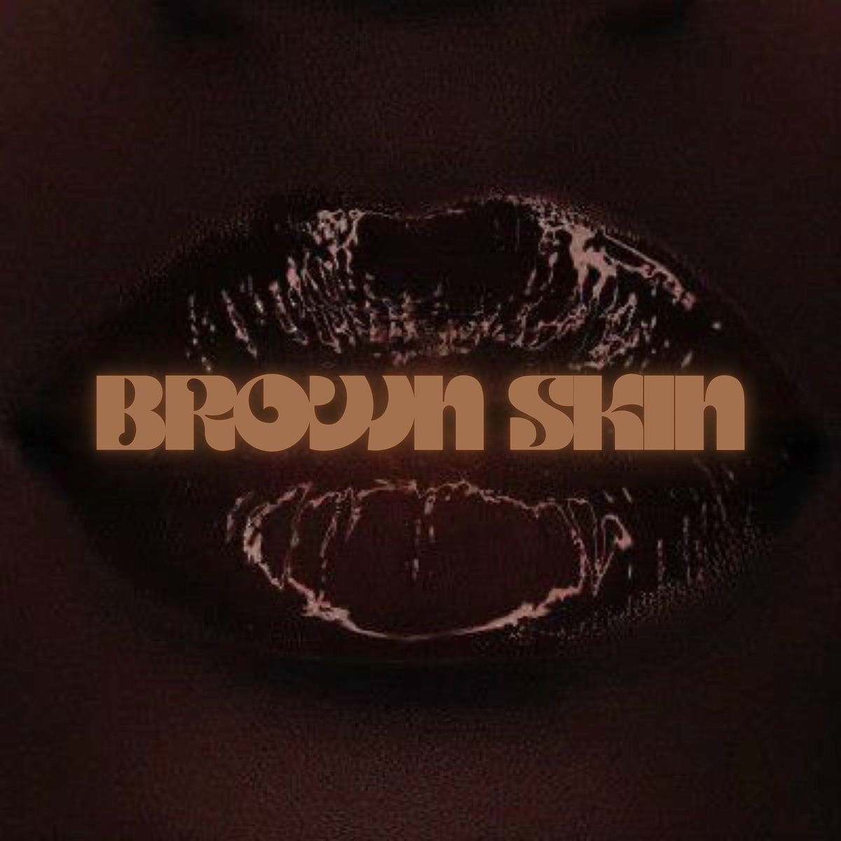 Album cover of Brown Skin