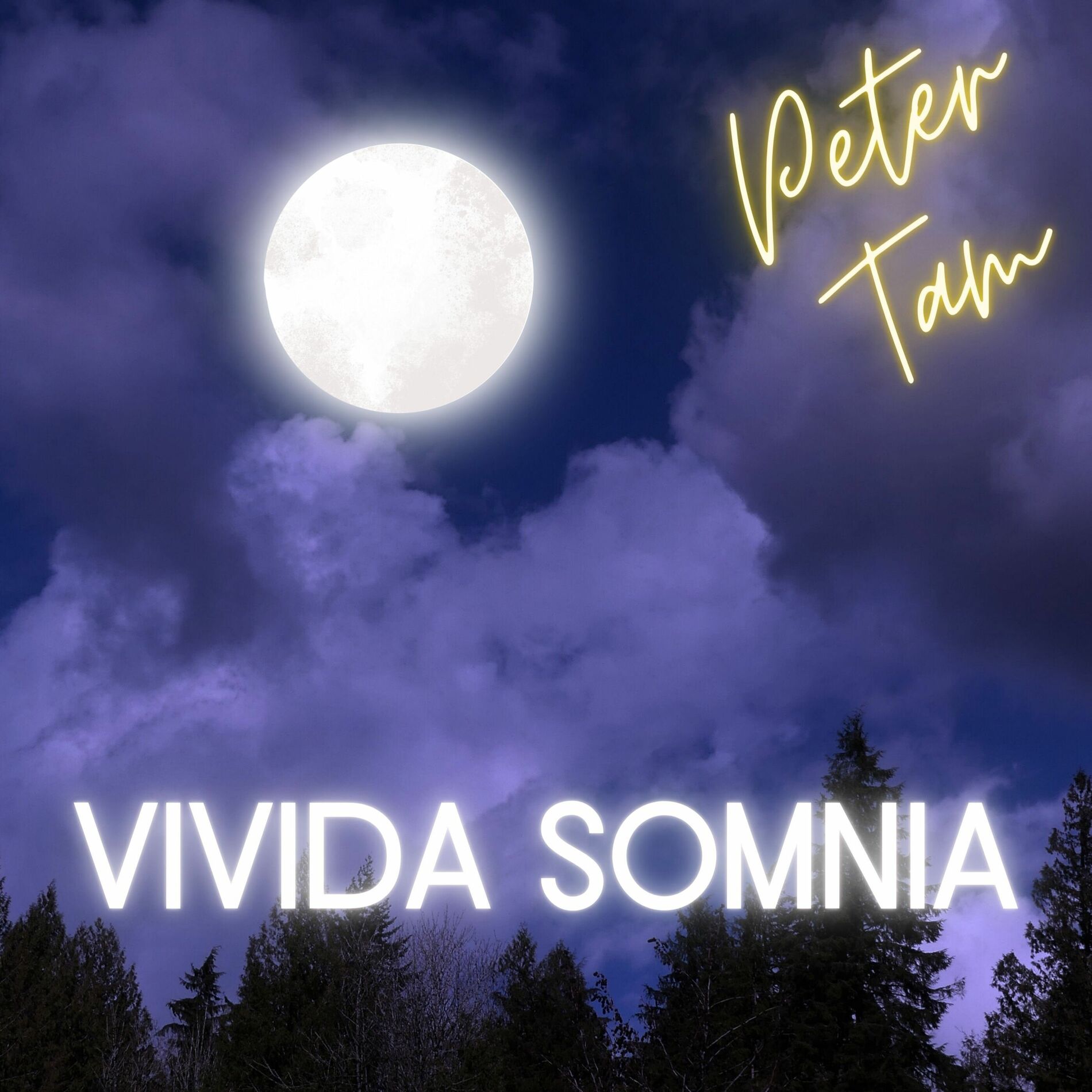 Album cover of Vivida Somnia
