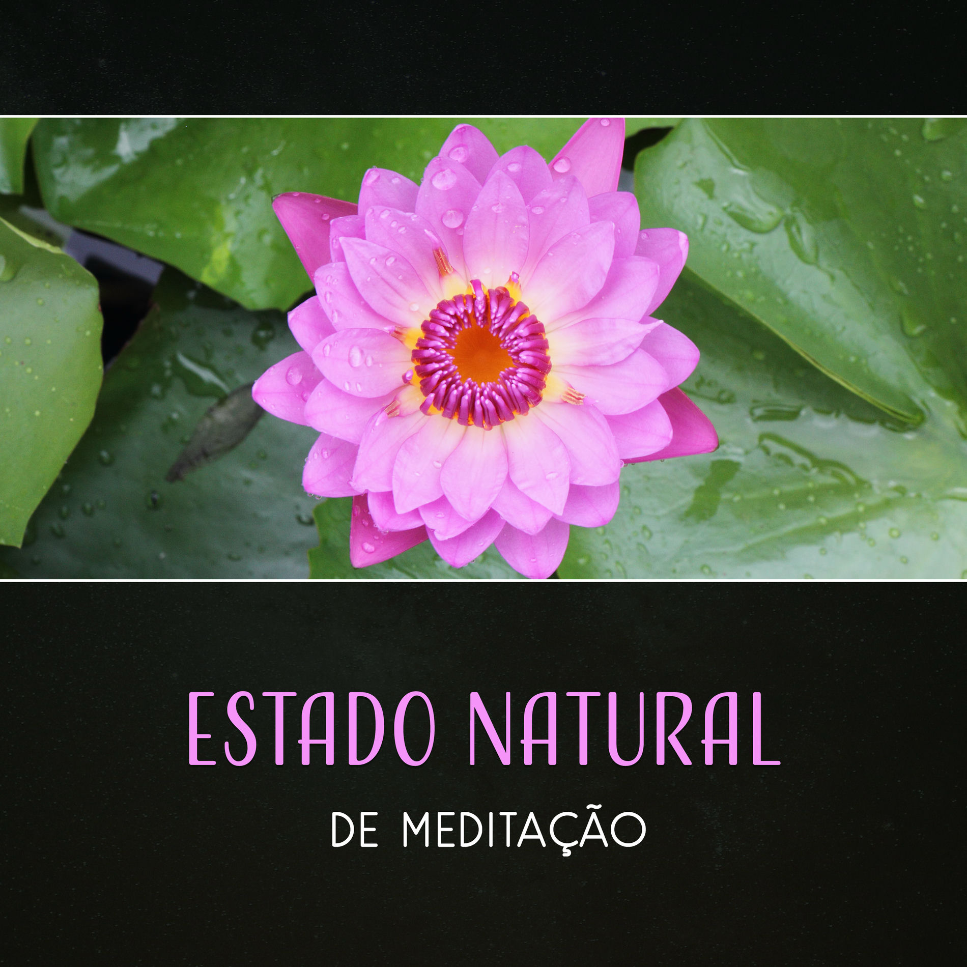 Album cover of Limpeza de Chakra