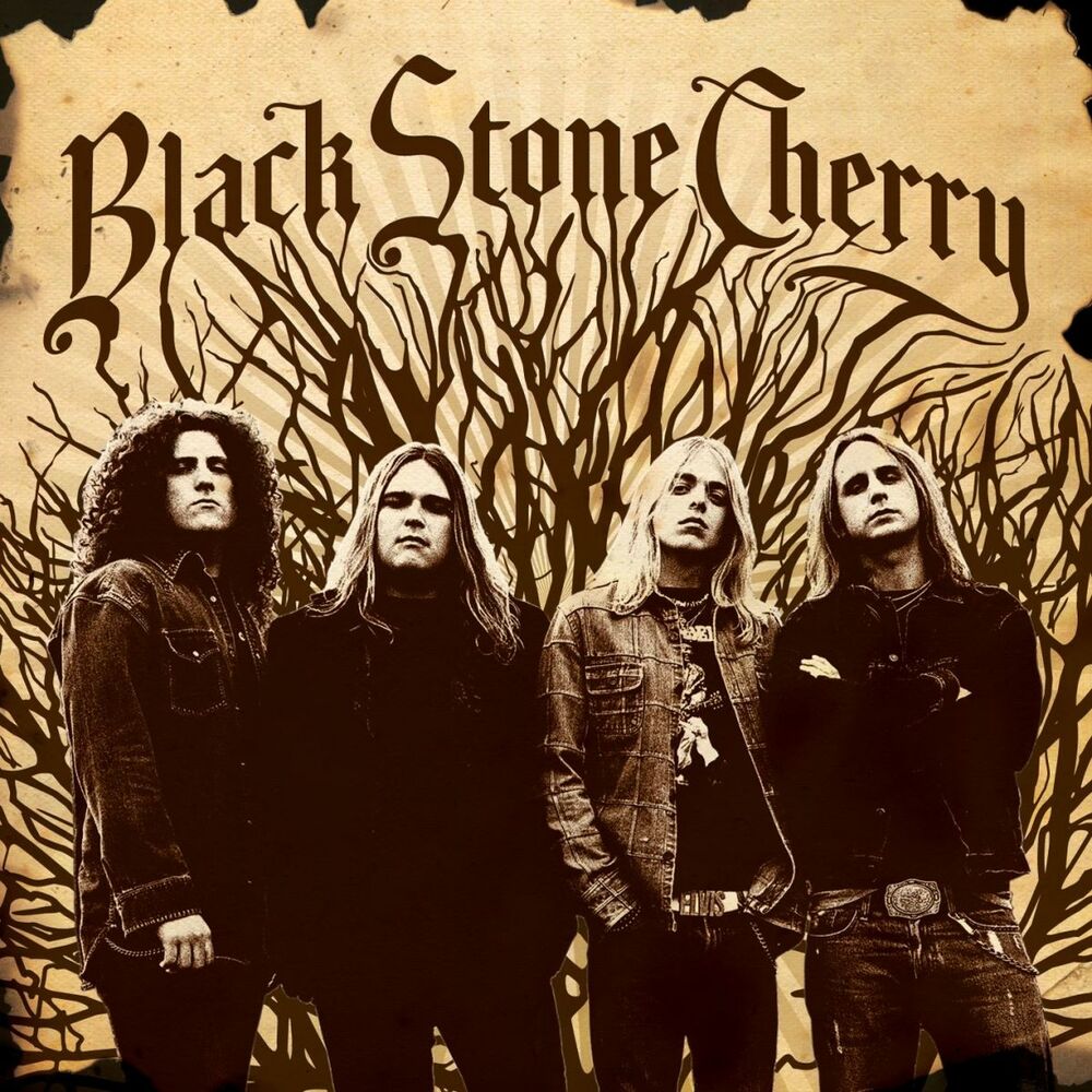 Picture of Black Stone Cherry (Special Edition)