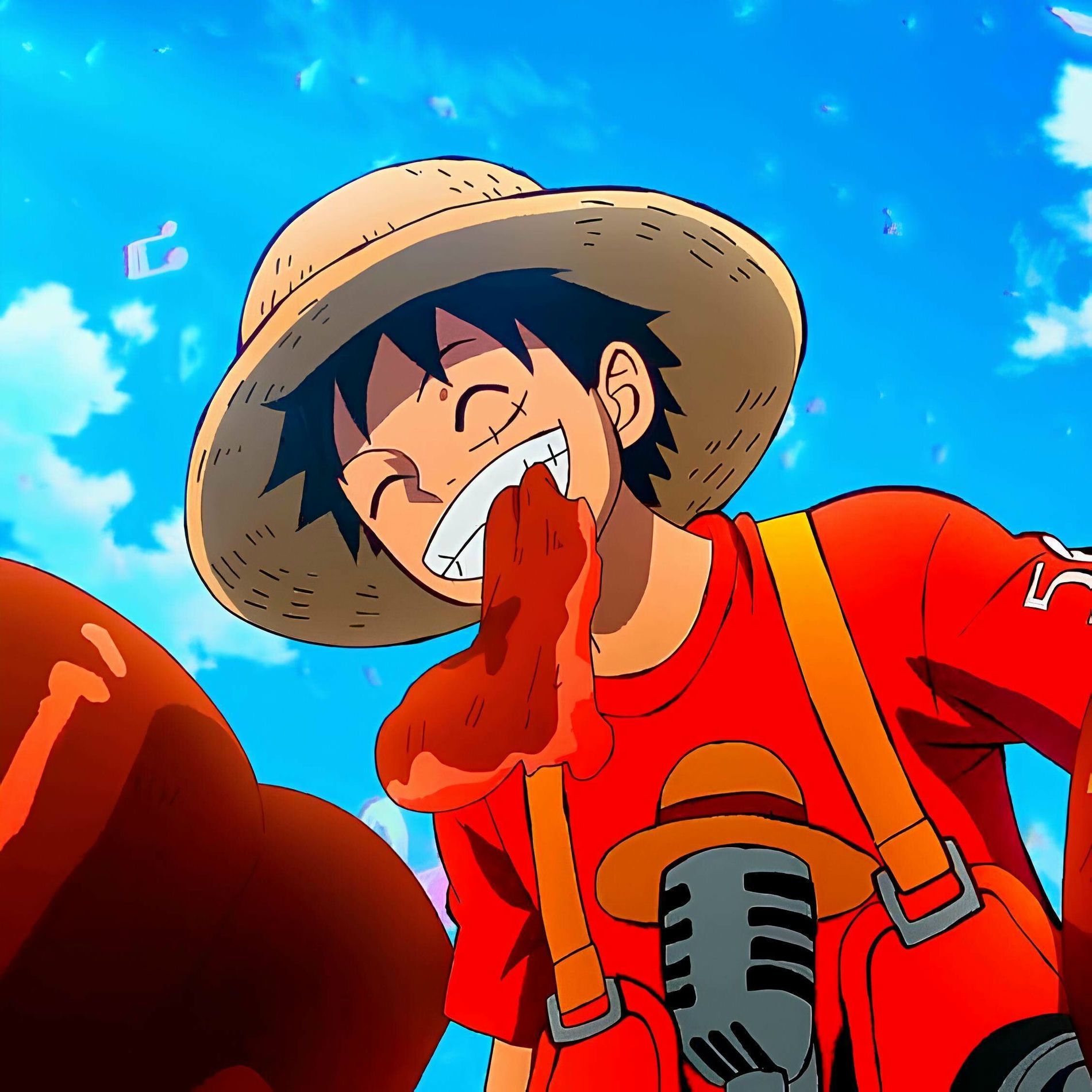 ルフィ 藤 虎 ONE PIECE Memorial Best [w/ DVD, Limited