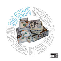 Cover of 100 Bands