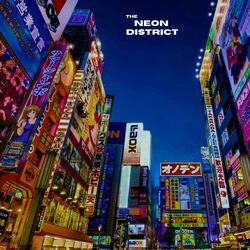 Cover of The Neon District