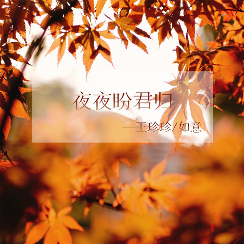 夜夜盼君归 (对唱版)